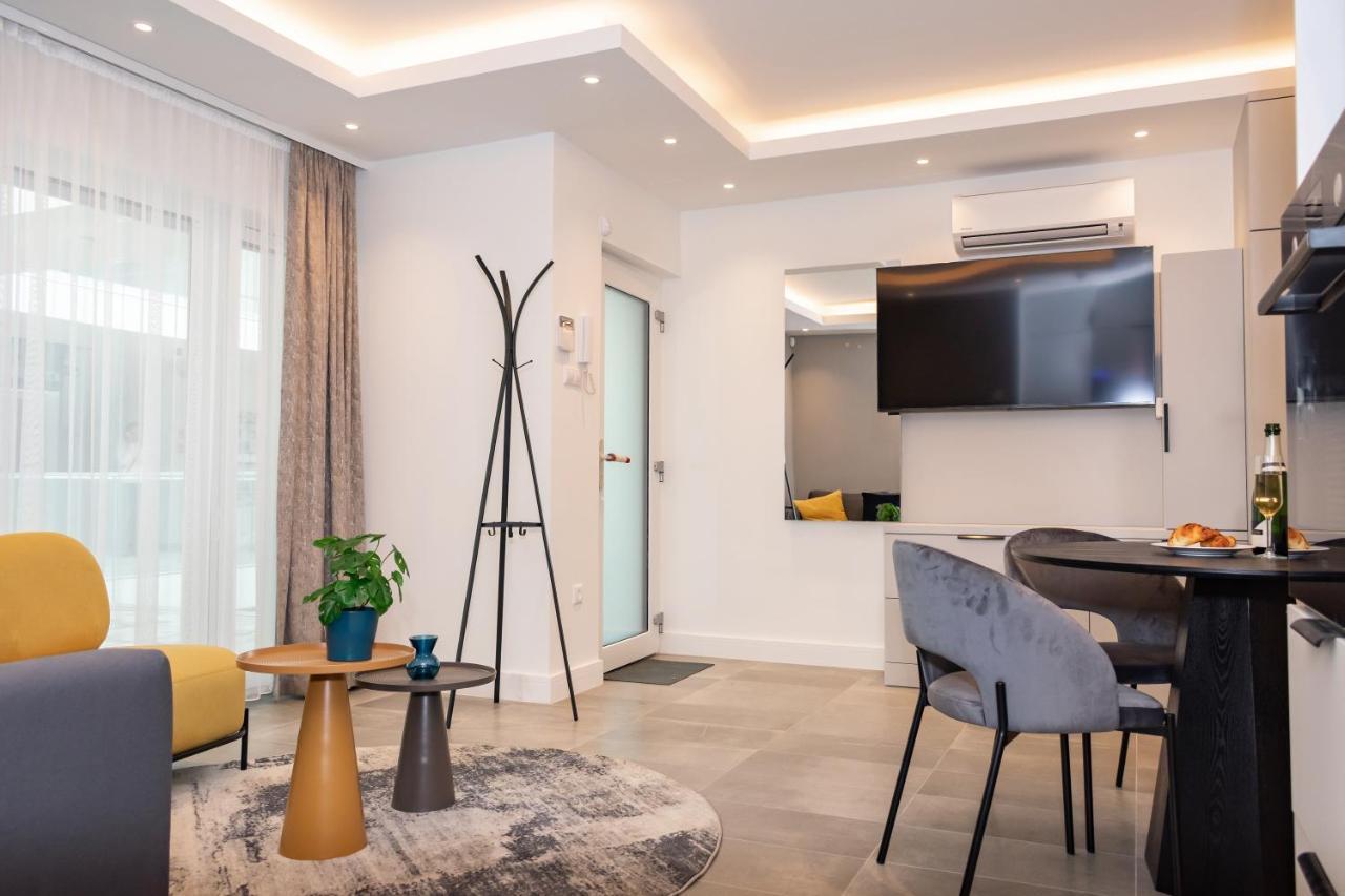 Luxury Cozy 2 Bdr Downtown Apt.3 Apartment