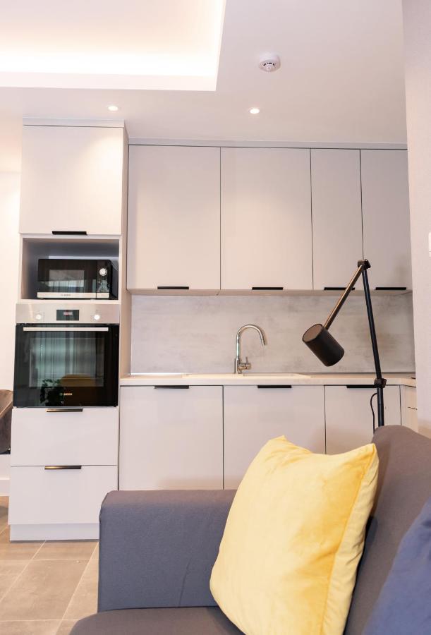 Luxury Cozy 2 Bdr Downtown Apt.3 Apartment